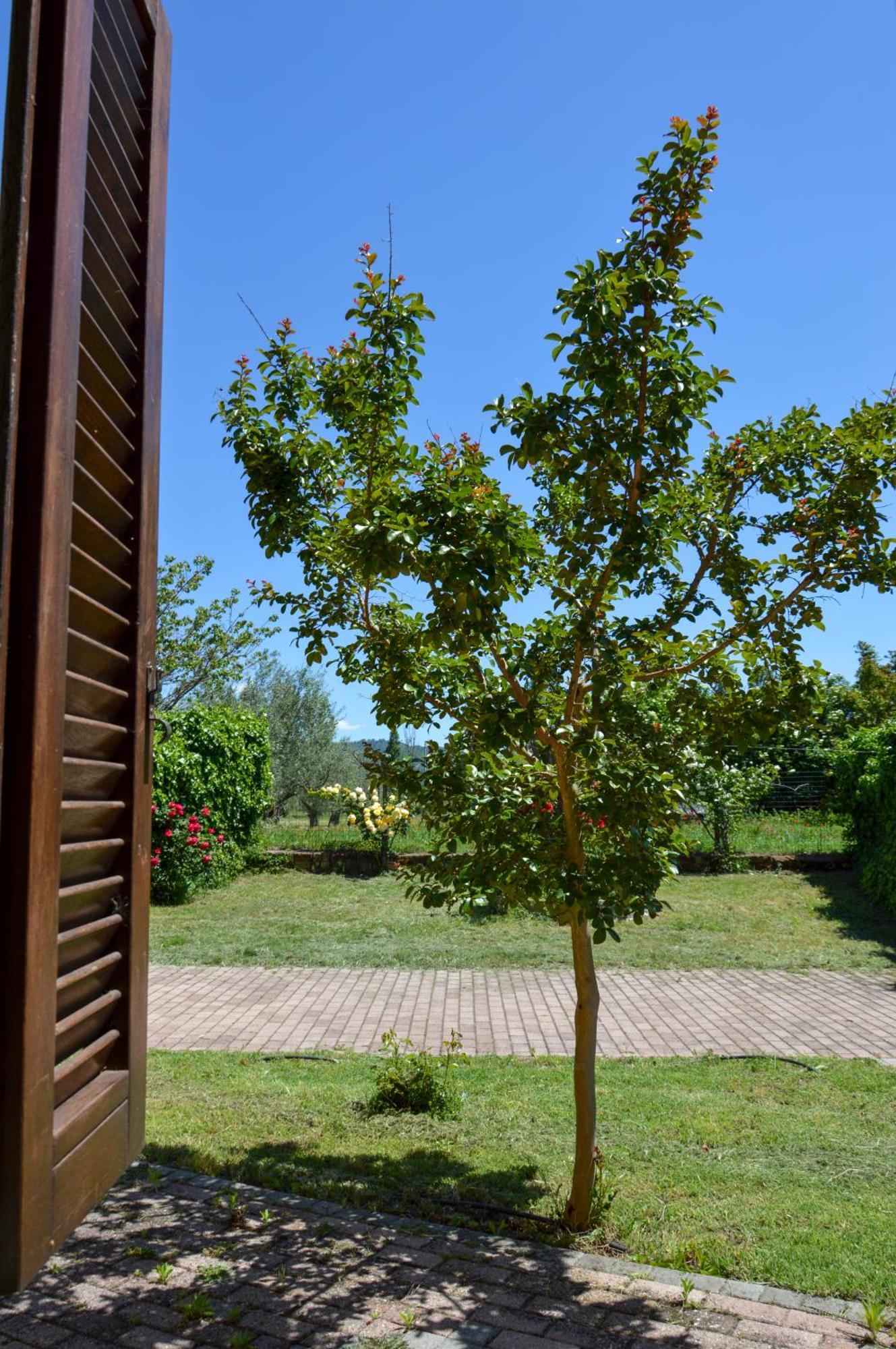 Agriturismo "La Fraschetta" Bolsena Eksteriør bilde