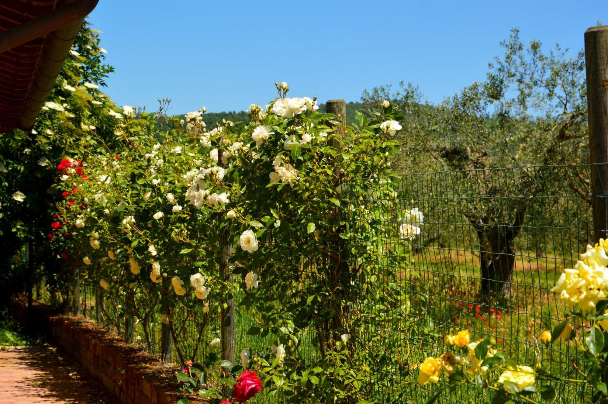 Agriturismo "La Fraschetta" Bolsena Eksteriør bilde