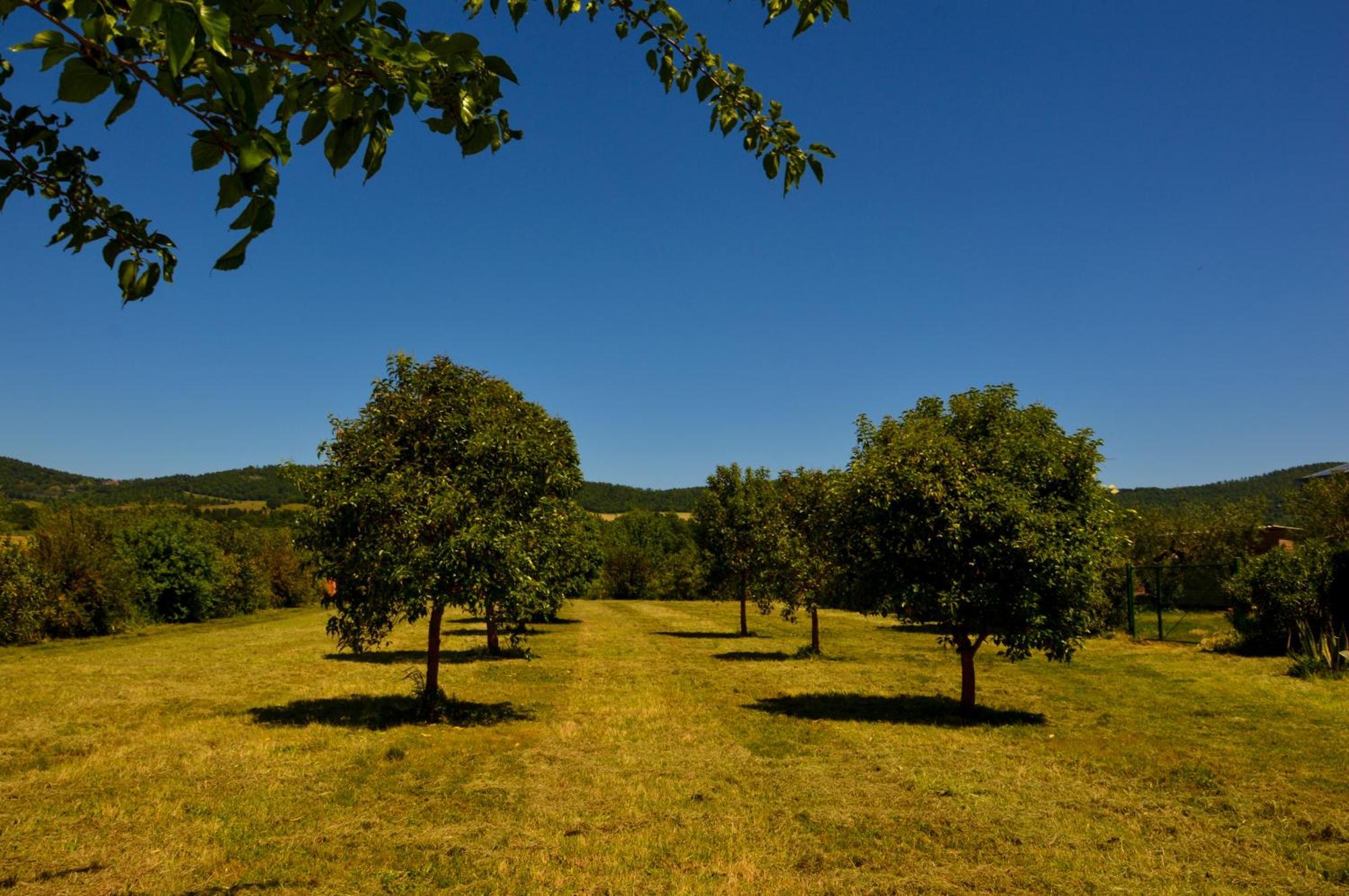 Agriturismo "La Fraschetta" Bolsena Eksteriør bilde